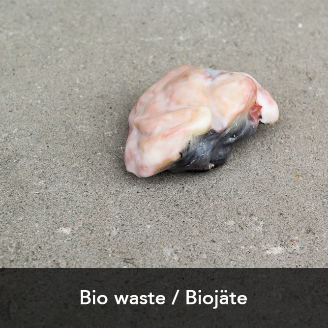 Link to view installation Bio Waste by Hanna Ryynänen